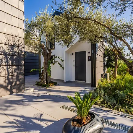 Muraga By Pikhost Tirana