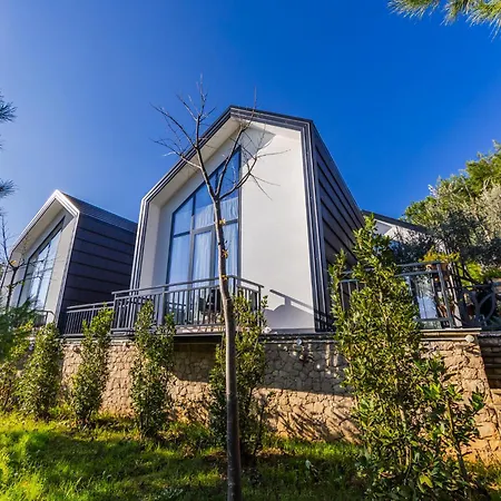 Villa Muraga By Pikhost Tirana